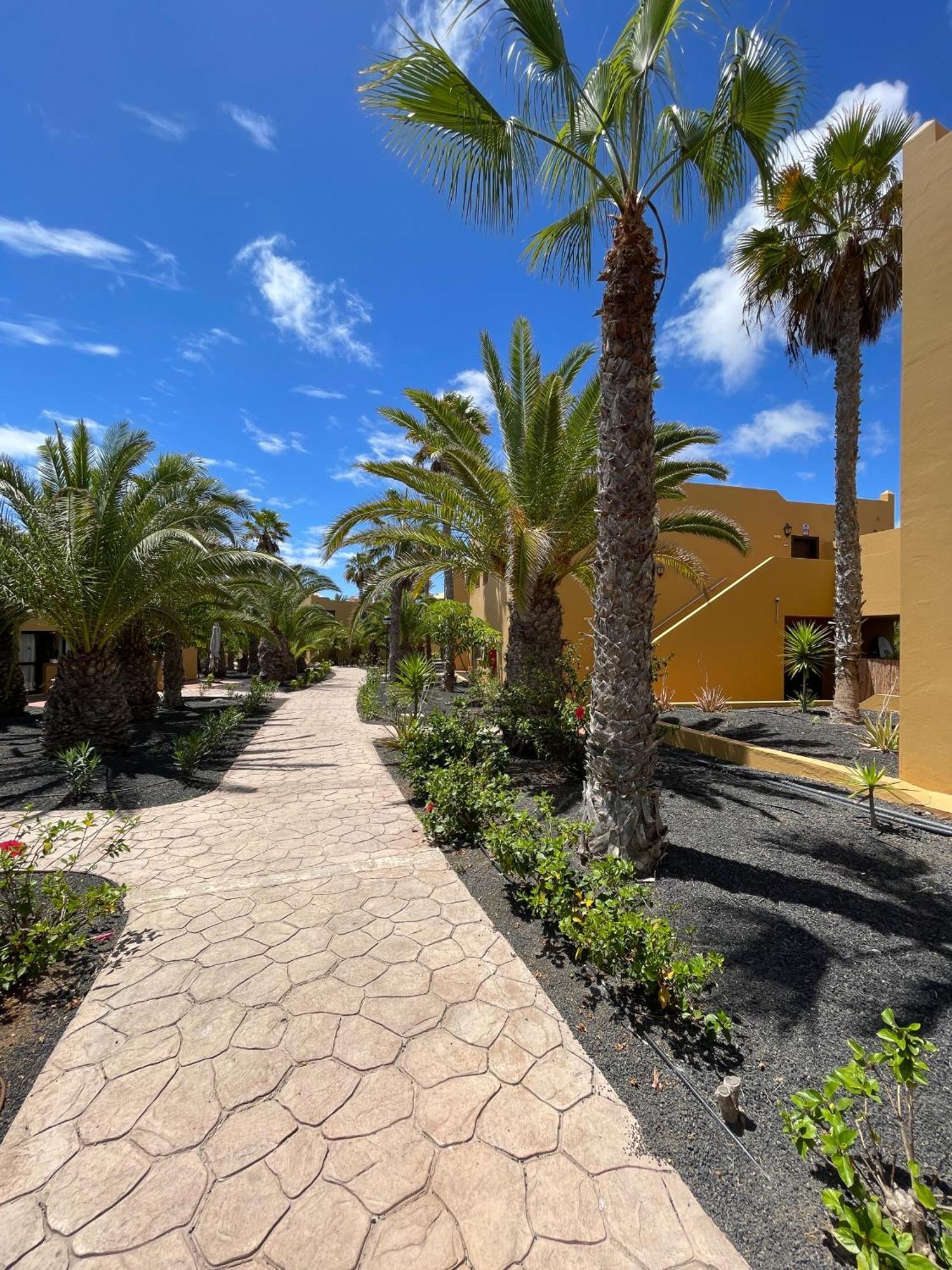 Appartement B-Rent Casa Angela Pool View à Corralejo Extérieur photo