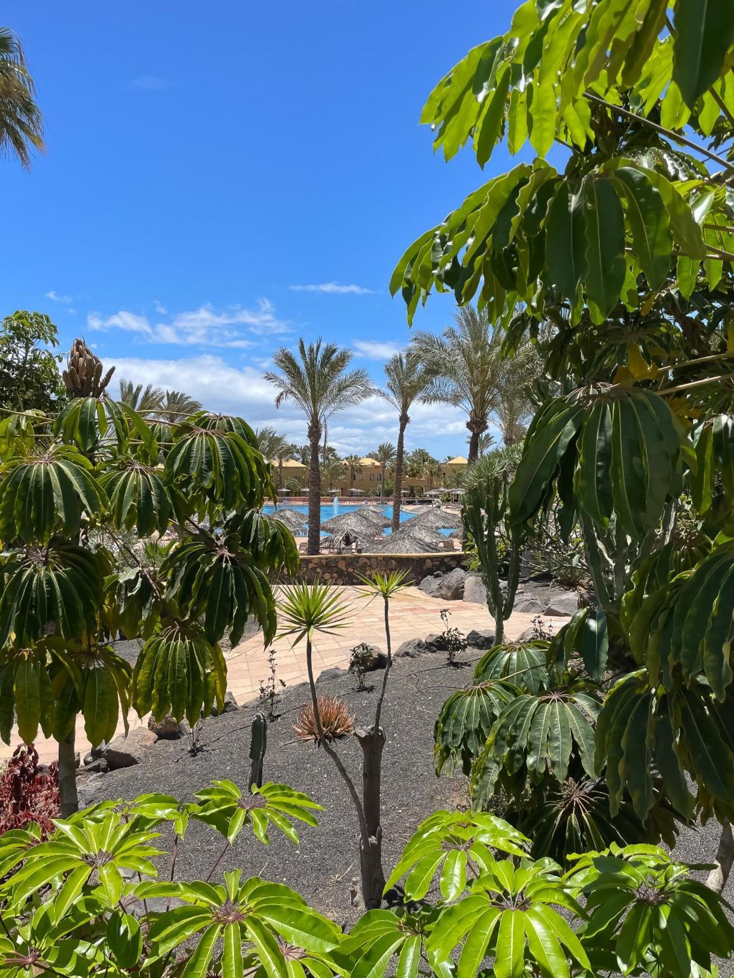 Appartement B-Rent Casa Angela Pool View à Corralejo Extérieur photo